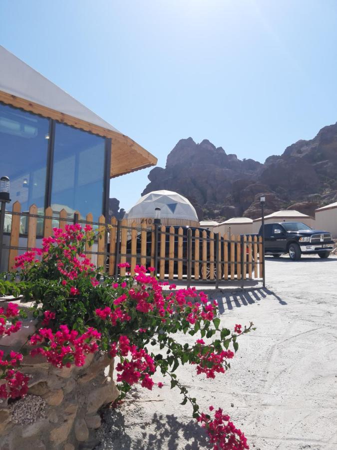 The Rock Camp Petra Hotell Wadi Musa Eksteriør bilde